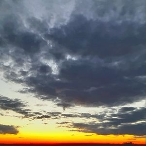 Meet your Posher, Ann